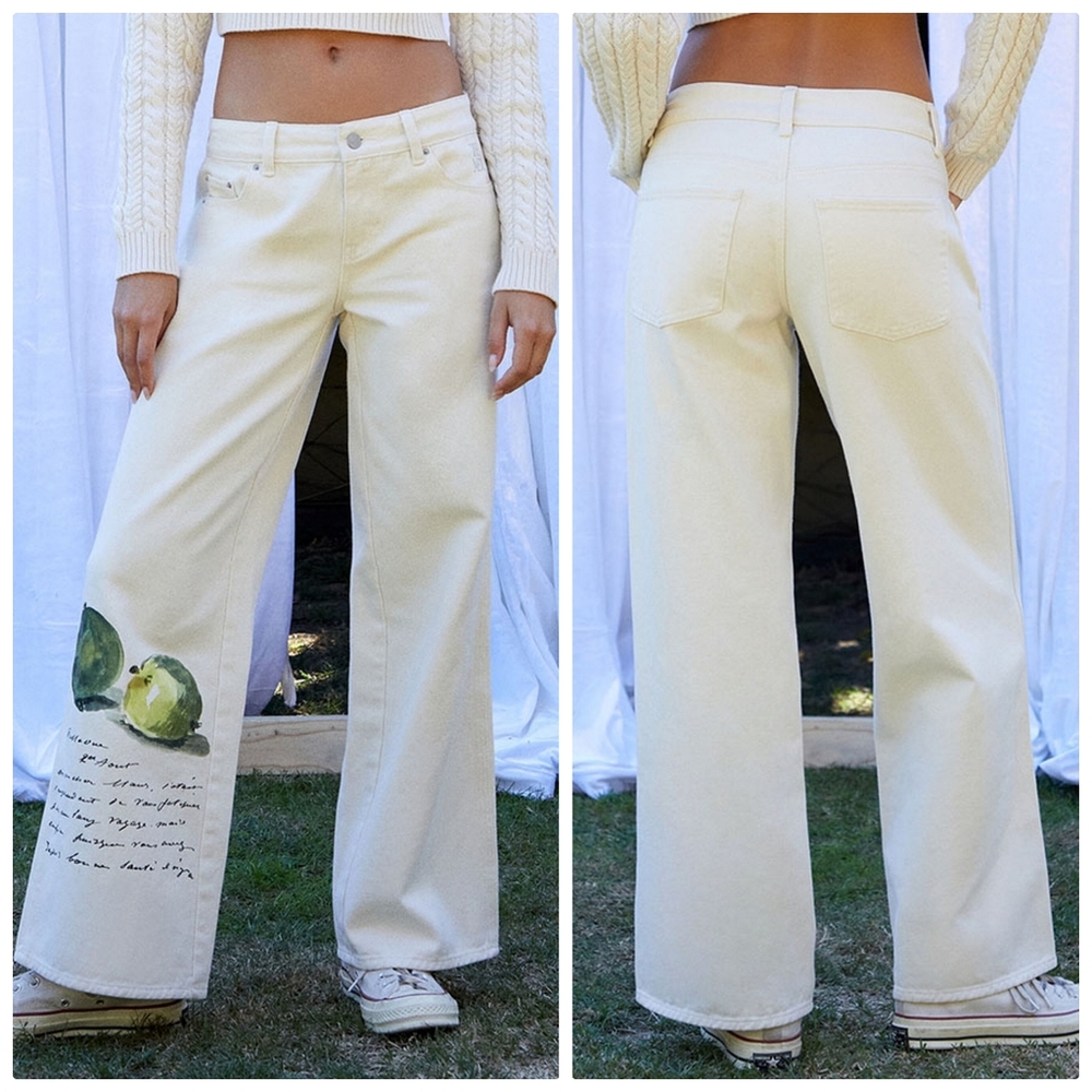 Pacsun×The Met Collab Nwt Jeans Wide Leg Baggy Manet Apple Print Jeans Cream 24